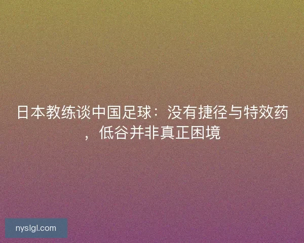 日本教练谈中国足球：没有捷径与特效药，低谷并非真正困境